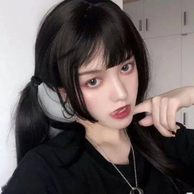 网红边牧被盗遭宰杀已刑事立案 主人带其照片重返西藏